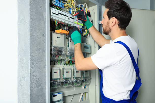 Best Generator Installation Services  in Fredericktown, MO